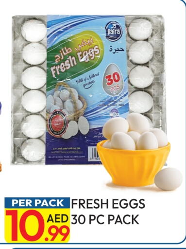 available at Dream Land in UAE - Dubai