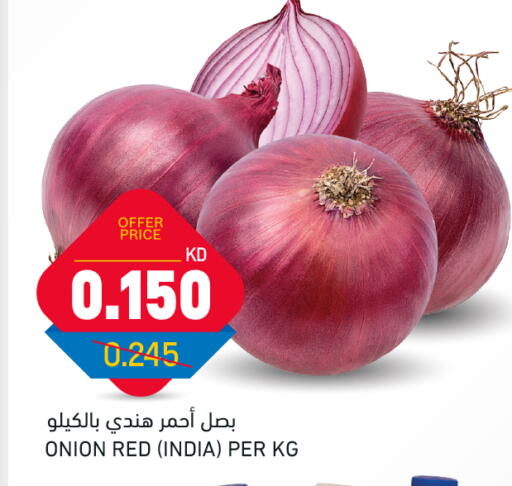 Onion from India available at Oncost in Kuwait - Ahmadi Governorate