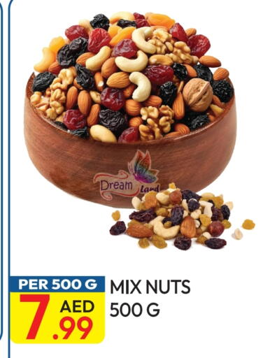 available at Dream Land in UAE - Dubai