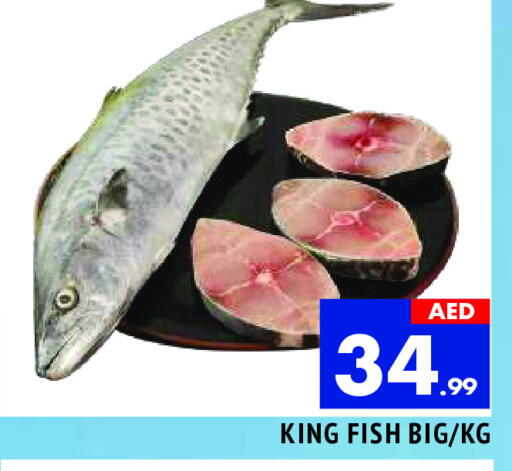سمك ملكي available at المدينة in الإمارات العربية المتحدة , الامارات - الشارقة / عجمان
