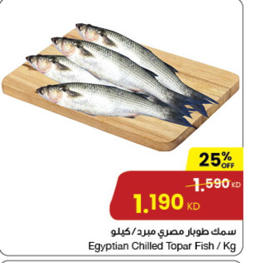 available at The Sultan Center in Kuwait - Ahmadi Governorate