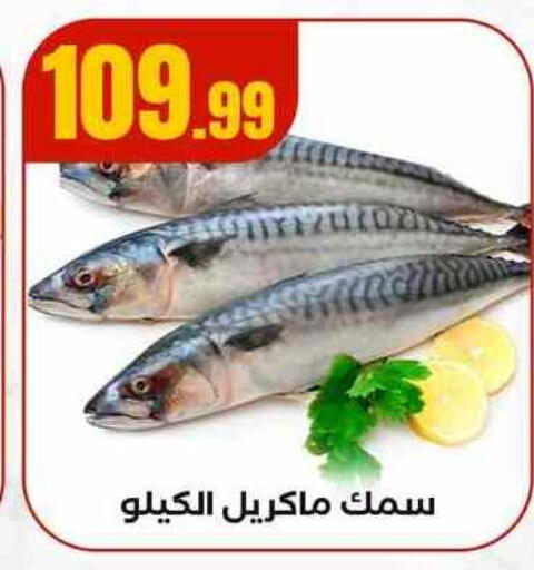 available at MartVille in Egypt - Cairo