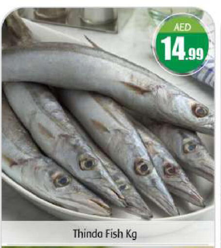 available at بيج مارت in الإمارات العربية المتحدة , الامارات - أبو ظبي