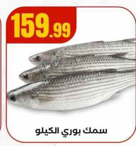 available at MartVille in Egypt - Cairo