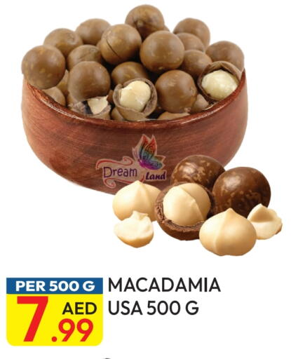 available at Dream Land in UAE - Dubai