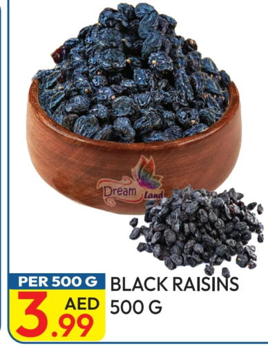 available at Dream Land in UAE - Dubai