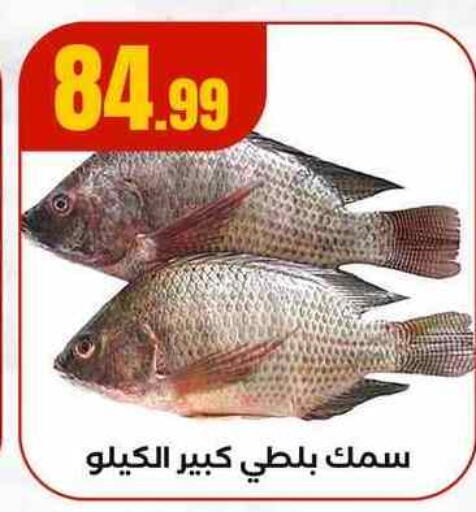available at MartVille in Egypt - Cairo