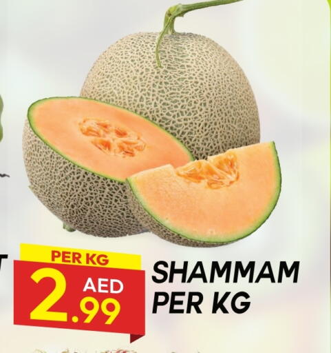 available at Dream Land in UAE - Dubai