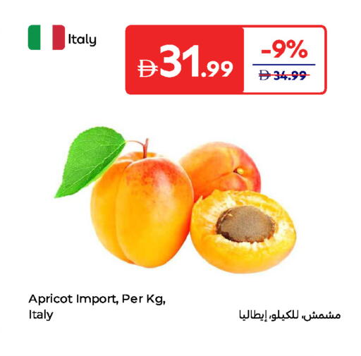 Apricot available at Carrefour UAE in UAE - Al Ain