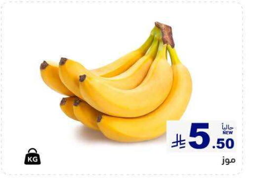 Banana available at Aswaq Ramez in KSA, Saudi Arabia, Saudi - Dammam