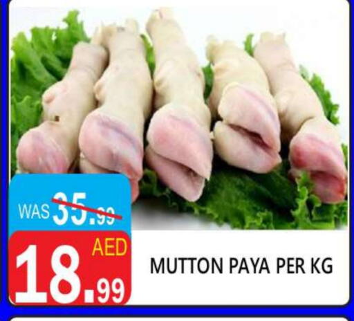 Meat - Fresh & Chilled in United Hypermarket, UAE Offers - United Arab Emirates Mutton / Lamb available at United Hypermarket in UAE - Dubai