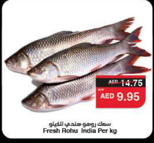 available at سبار هايبرماركت in الإمارات العربية المتحدة , الامارات - ٱلْعَيْن‎