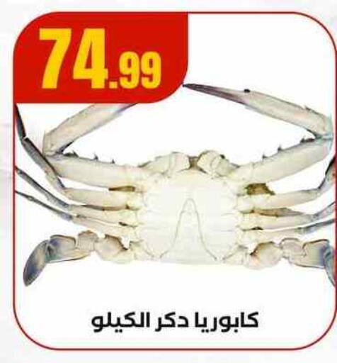 available at مارت فيل in Egypt - القاهرة