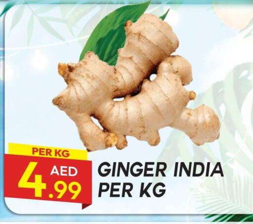 Ginger available at Dream Land in UAE - Dubai