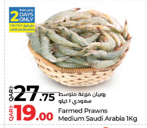 available at لولو هايبرماركت in قطر - الريان