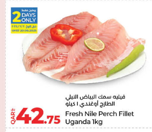 available at لولو هايبرماركت in قطر - الريان
