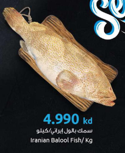 available at The Sultan Center in Kuwait - Ahmadi Governorate