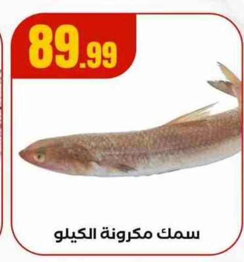available at MartVille in Egypt - Cairo