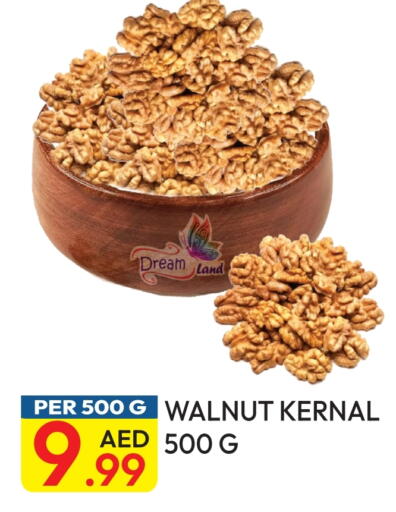 available at Dream Land in UAE - Dubai