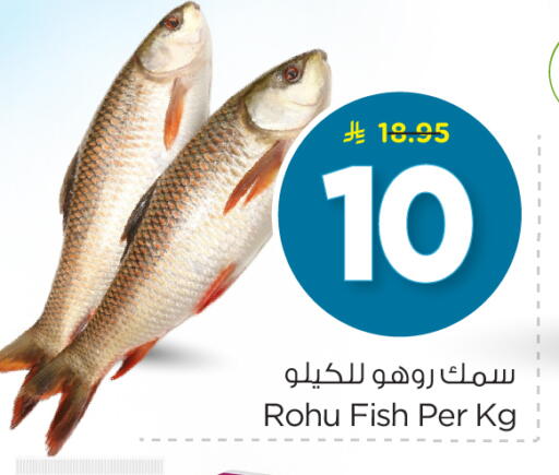 available at Budget Food in KSA, Saudi Arabia, Saudi - Riyadh