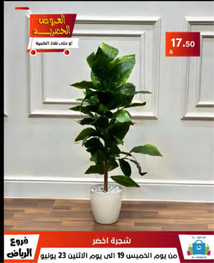 available at الحسين توب أب in مملكة العربية السعودية, السعودية, سعودية - الرياض