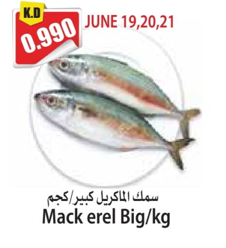 available at 4 SaveMart in Kuwait - Kuwait City
