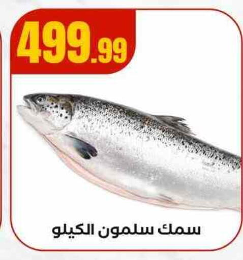 available at MartVille in Egypt - Cairo