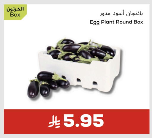 available at Astra Markets in KSA, Saudi Arabia, Saudi - Tabuk