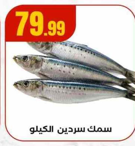 available at MartVille in Egypt - Cairo