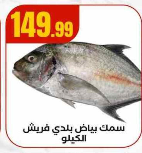 available at MartVille in Egypt - Cairo