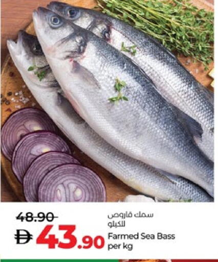 available at لولو هايبرماركت in الإمارات العربية المتحدة , الامارات - ٱلْعَيْن‎