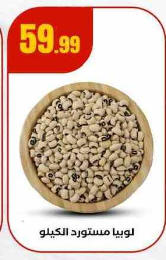 available at مارت فيل in Egypt - القاهرة