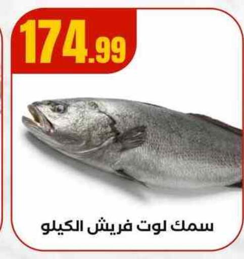 available at MartVille in Egypt - Cairo