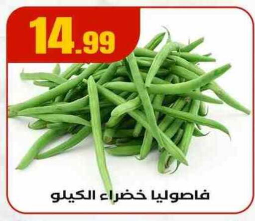 Beans available at MartVille in Egypt - Cairo