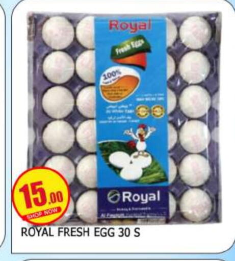 Mango available at Mango Hypermarket LLC in UAE - Dubai