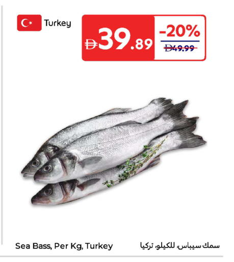 available at كارفور in الإمارات العربية المتحدة , الامارات - ٱلْعَيْن‎