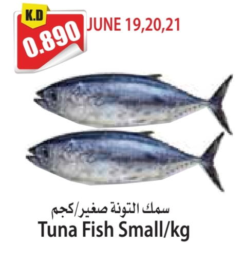 Tuna available at 4 SaveMart in Kuwait - Kuwait City