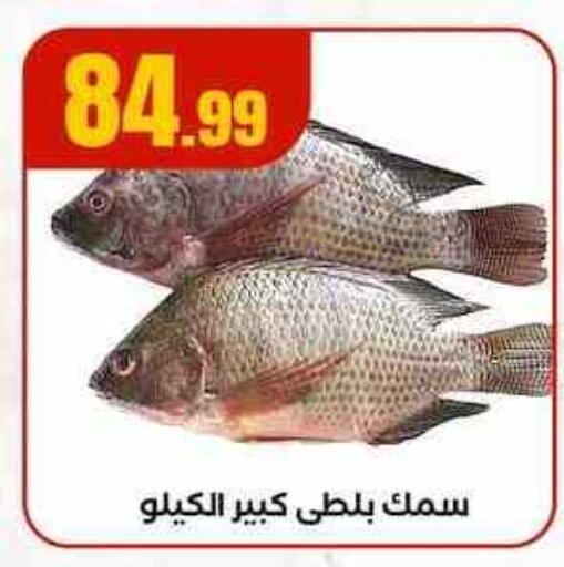 available at MartVille in Egypt - Cairo