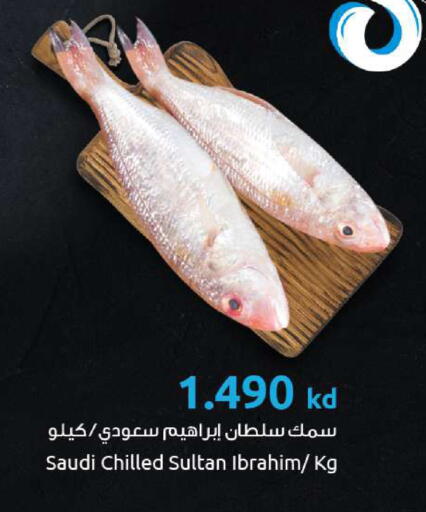 available at The Sultan Center in Kuwait - Jahra Governorate