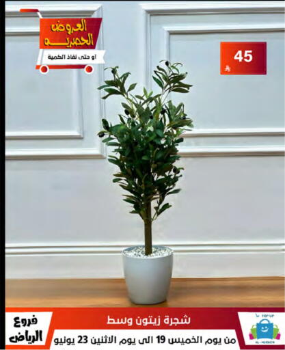 available at الحسين توب أب in مملكة العربية السعودية, السعودية, سعودية - الرياض