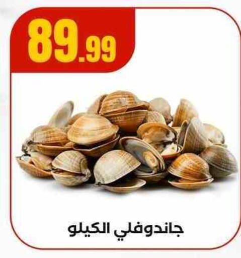available at مارت فيل in Egypt - القاهرة