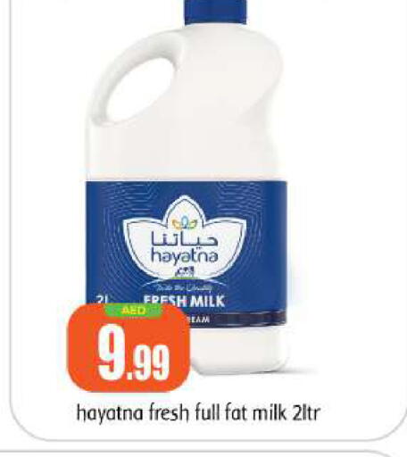 HAYATNA Fresh Milk available at BIGmart in UAE - Abu Dhabi