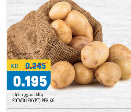 Potato from Egypt available at Oncost in Kuwait - Kuwait City