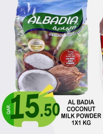 Flour & Baking Supplies in Dubai Shopping Center, Qatar Offers - Qatar Coconut Powder available at Dubai Shopping Center in Qatar - Al Rayyan
