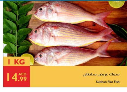 available at Istanbul Supermarket in UAE - Sharjah / Ajman