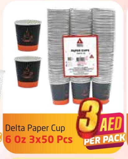 Cup available at Delta Centre in UAE - Dubai