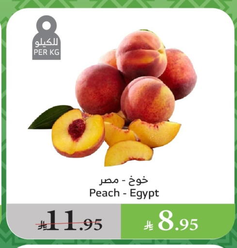 Plums from Egypt available at Al Raya in KSA, Saudi Arabia, Saudi - Bishah