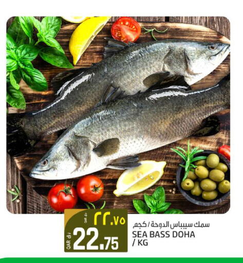 available at Saudia Hypermarket in Qatar - Doha