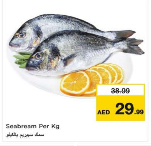 available at نستو هايبرماركت in الإمارات العربية المتحدة , الامارات - الشارقة / عجمان