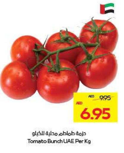 Tomato available at ADCOOP in UAE - Abu Dhabi